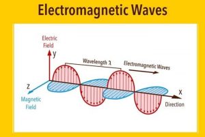 Neuropathy Center of Miami Research Review: Stimulation of human bone ...